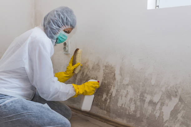 Best Crawl Space Mold Removal  in Rockcreek, OR