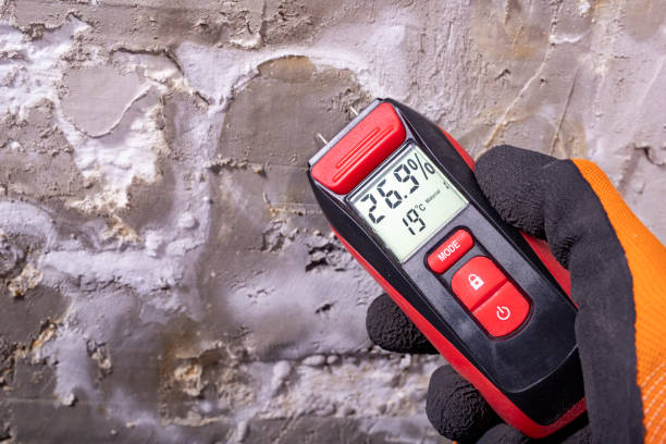 Mold Testing and Removal in Rockcreek, OR
