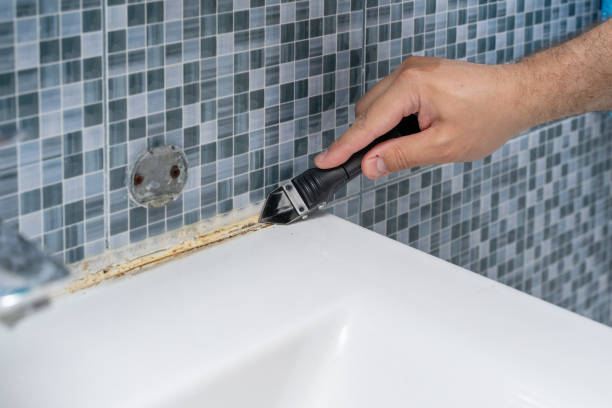 Best Local Mold Removal Service  in Rockcreek, OR