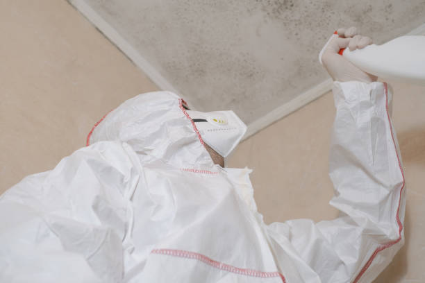 Best Certified Mold Removal  in Rockcreek, OR