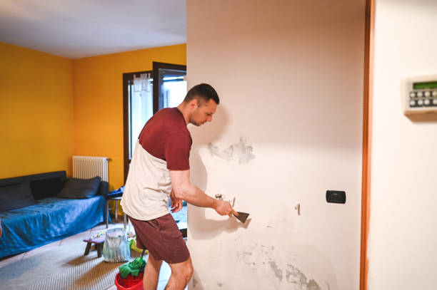 Best Office Mold Removal Services  in Rockcreek, OR