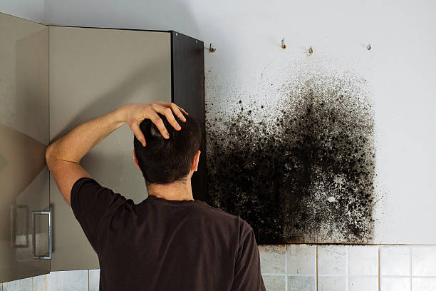 Best Best Mold Removal Companies  in Rockcreek, OR